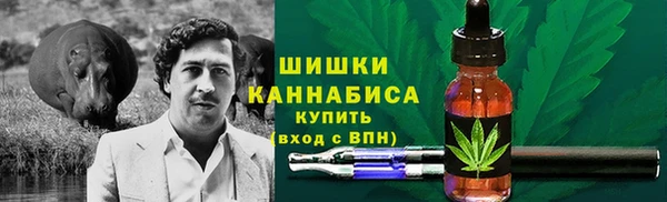 мдпв Янаул