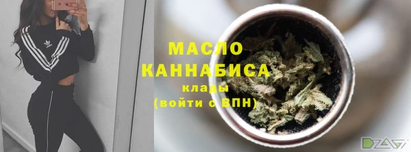 стаф Краснослободск