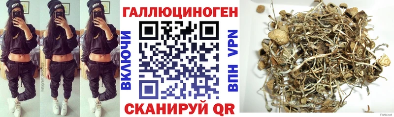 Купить  Сердобск  Псилоцибиновые грибы GOLDEN TEACHER 